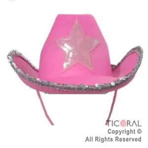 SOMBRERO COWBOY ESTRELLA Y LENTEJUELAS ROSA x 1